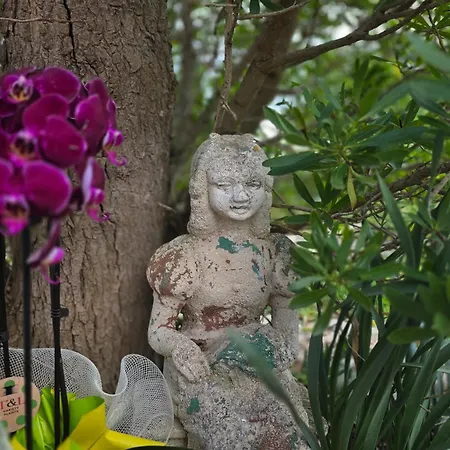 Sette Nani Aparthotel